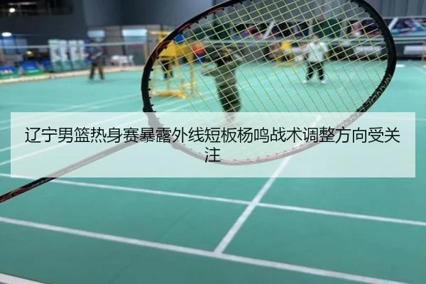 辽宁男篮热身赛暴露外线短板杨鸣战术调整方向受关注